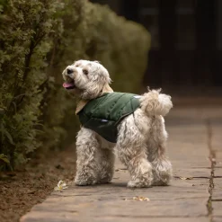 HUFT Puffer Paws Jacket For Big Dog - Green