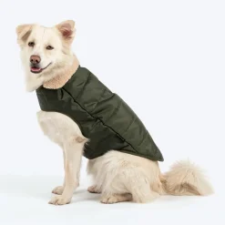 HUFT Puffer Paws Jacket For Big Dog - Green