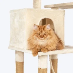 HUFT Purrch Paradise Multipurpose Cat Tree - Beige