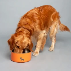 HUFT Quintessential Double-Walled Pet Bowl