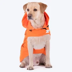 HUFT Rain Dancers Raincoats For Dog & Cat - Orange