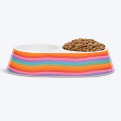HUFT Rainbow Splash Printed Melamine Double Diner For Dog - Multicolor