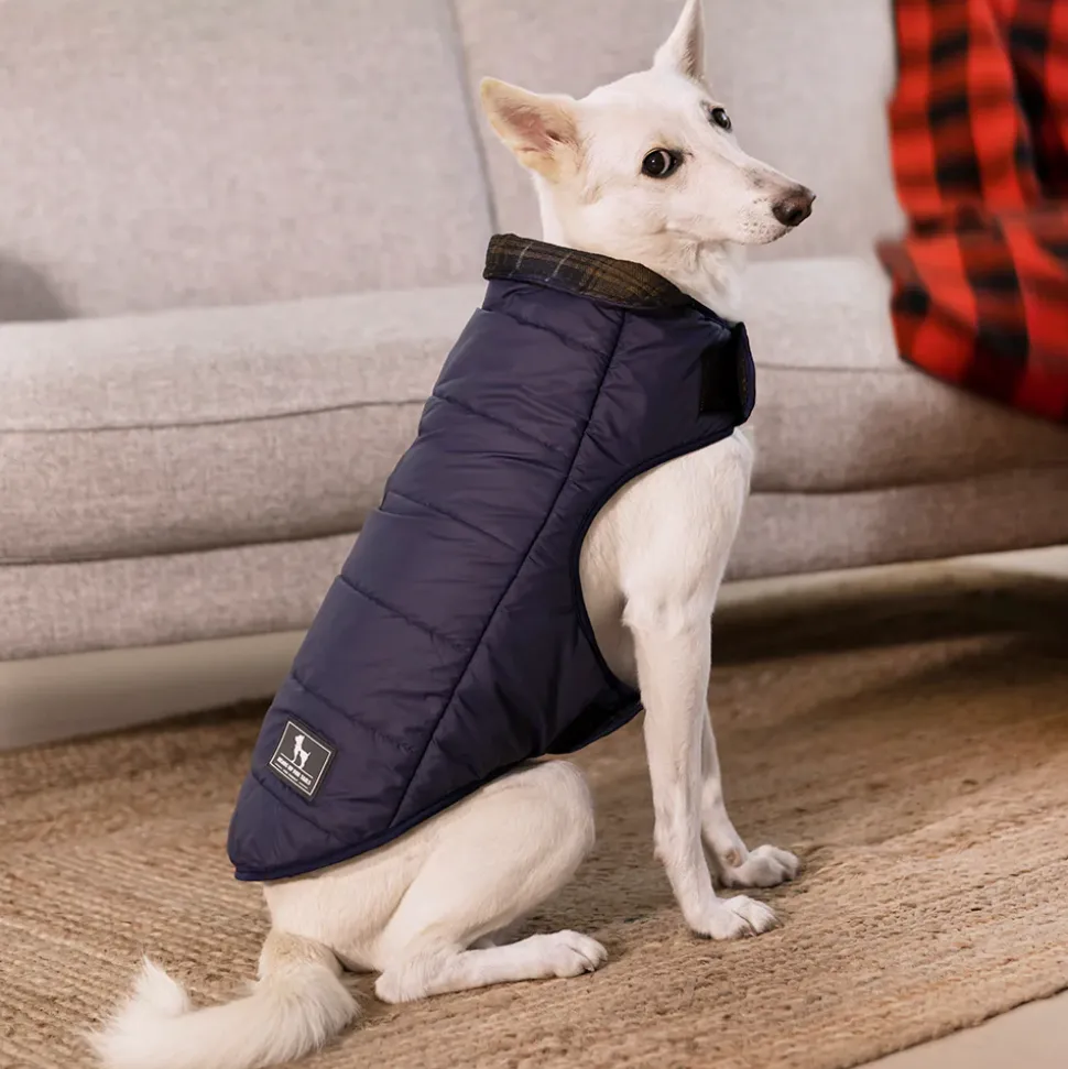 HUFT Reversible Dog Jacket - Blue
