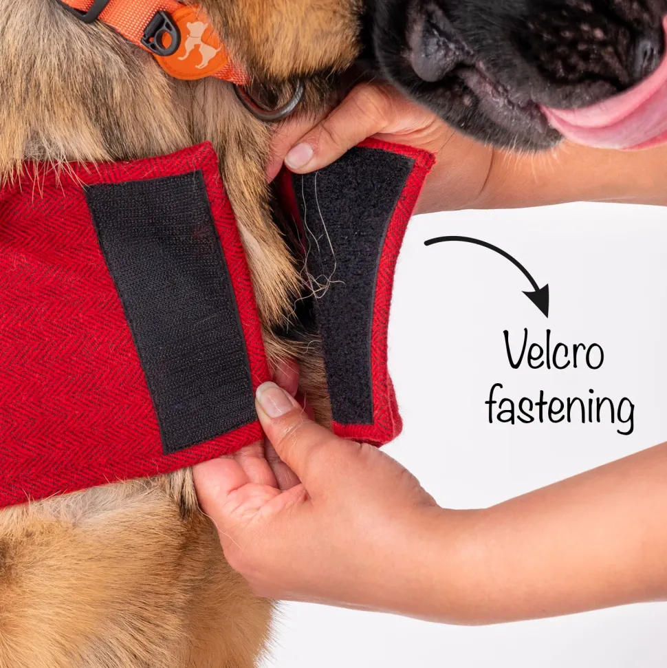 HUFT Rosy Cosy Dog Jacket - Red
