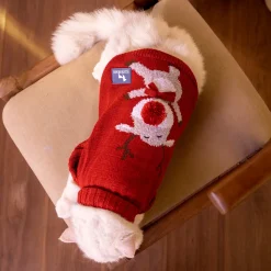 HUFT Rudolph’s Red-Nose Sweater For Cat - Red