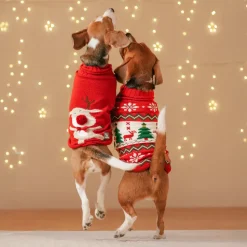 HUFT Rudolph's Red-Nose Sweater For Small Dog - Red