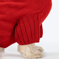 HUFT Rudolph's Red-Nose Sweater For Small Dog - Red