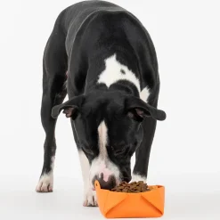 HUFT Silicone Collapsible Bowl For Dogs & Cats - Orange