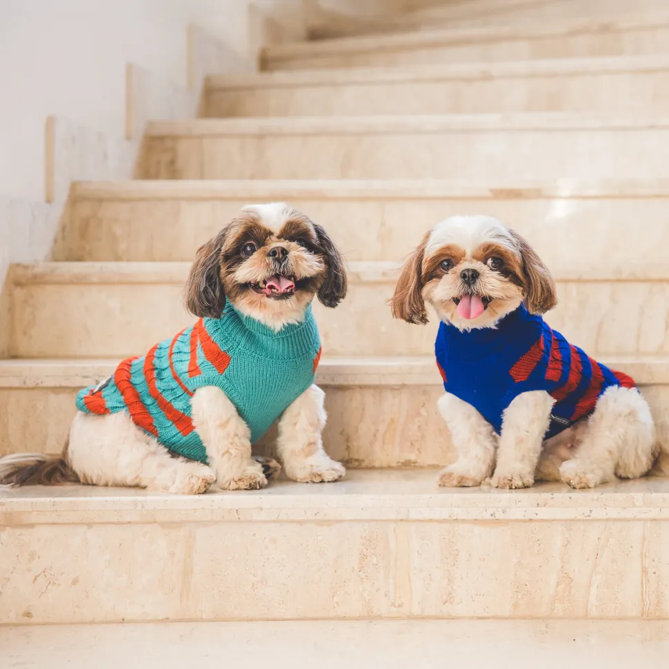 HUFT Snug Stripes Sweater For Dog - Turquoise Orange