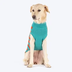 HUFT Snug Stripes Sweater For Dog - Turquoise Orange
