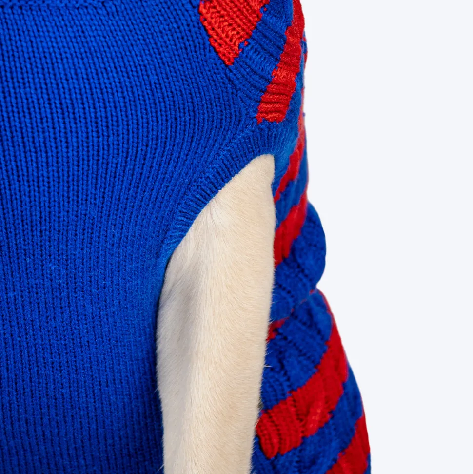 HUFT Snug Stripes Sweater For Dog - Blue & Red