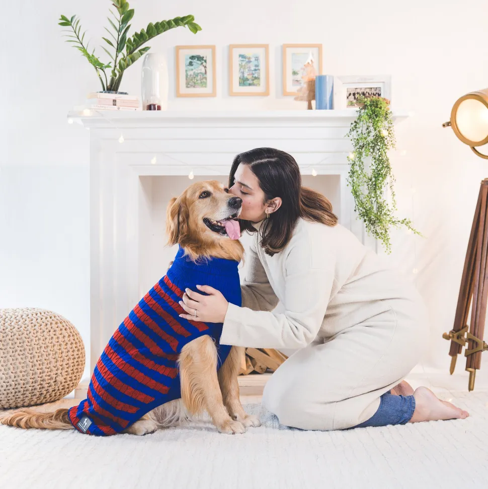 HUFT Snug Stripes Sweater For Dog - Blue & Red