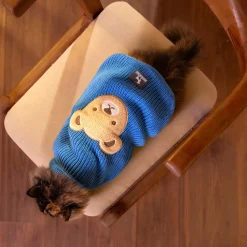 HUFT Snuggle Bear Sweater For Cat - Light Blue