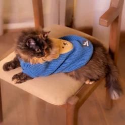 HUFT Snuggle Bear Sweater For Cat - Light Blue