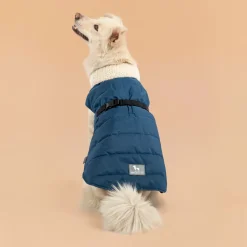 HUFT Snuggle Bug Jacket For Big Dog - Blue