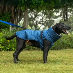 HUFT Snuggle Bug Jacket For Big Dog - Blue