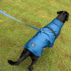 HUFT Snuggle Bug Jacket For Big Dog - Blue