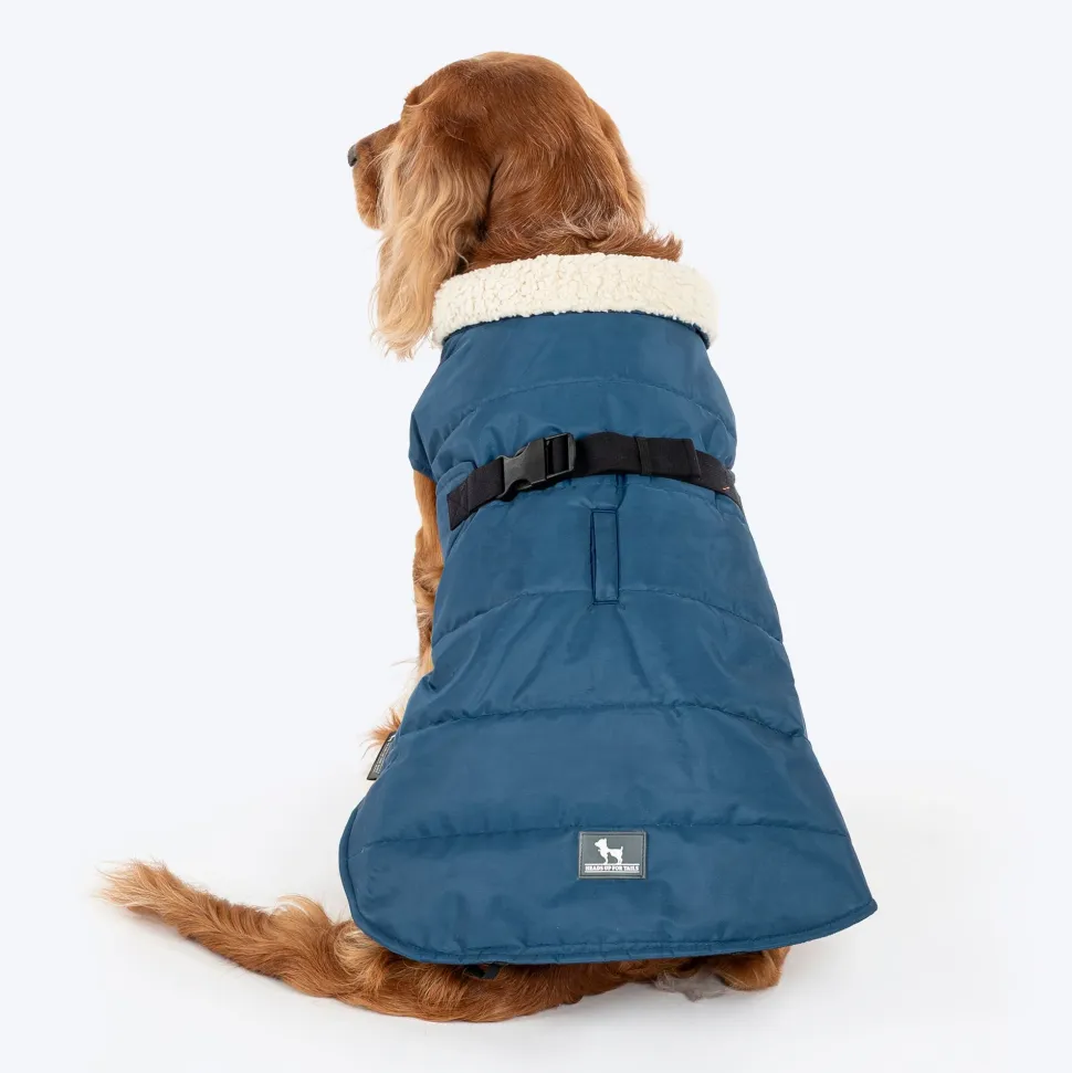 HUFT Snuggle Bug Jacket For Big Dog - Blue