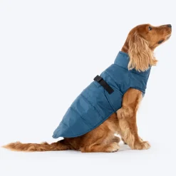 HUFT Snuggle Bug Jacket For Big Dog - Blue