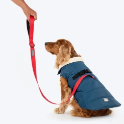 HUFT Snuggle Bug Jacket For Big Dog - Blue