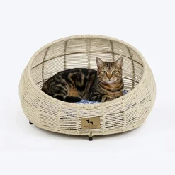 HUFT Snuggle Paws Rest Chair With Cushion For Cat - Ecru