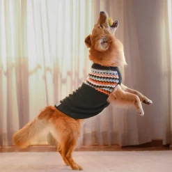 HUFT Snuggle Season Sweater For Dog - Black