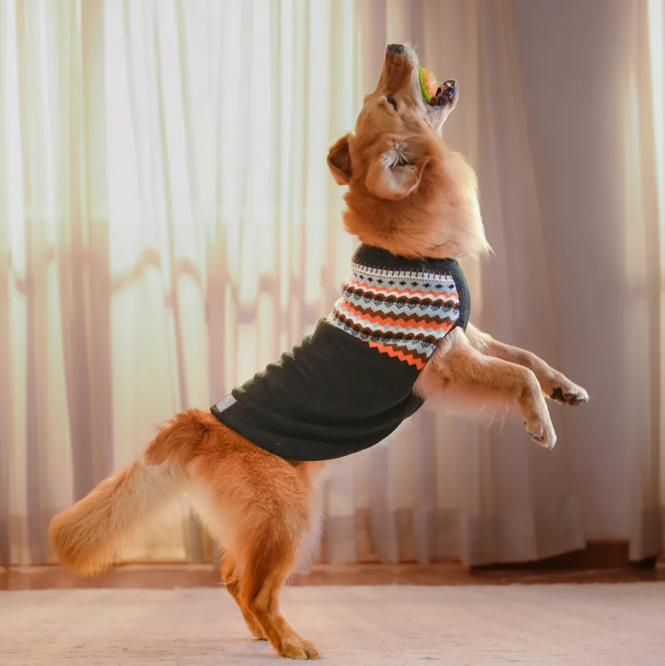 HUFT Snuggle Season Sweater For Dog - Black
