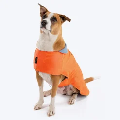 HUFT Snuggle Streetie Foundation Dog Jacket