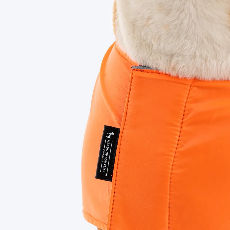 HUFT Snuggle Streetie Foundation Dog Jacket - Pack Of 3