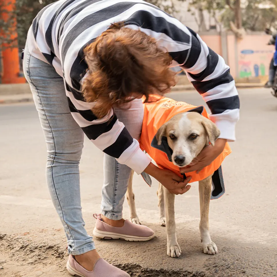 HUFT Snuggle Streetie Foundation Dog Jacket - Pack Of 3