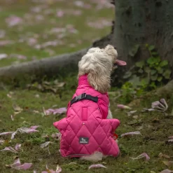 HUFT Starburst Snuggle Jacket For Dog - Pink