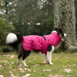 HUFT Starburst Snuggle Jacket For Dog - Pink