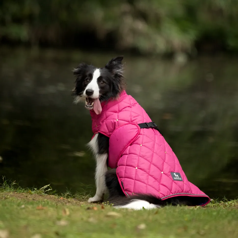 HUFT Starburst Snuggle Jacket For Dog - Pink