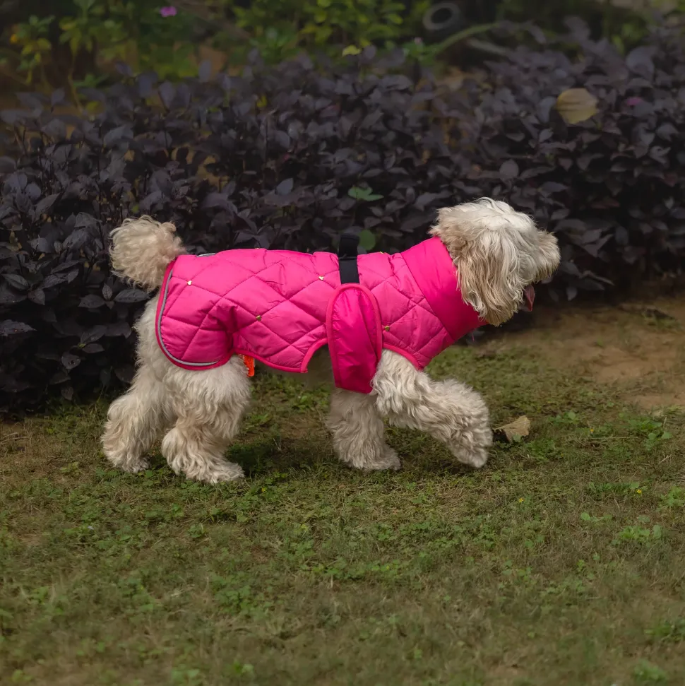 HUFT Starburst Snuggle Jacket For Dog - Pink