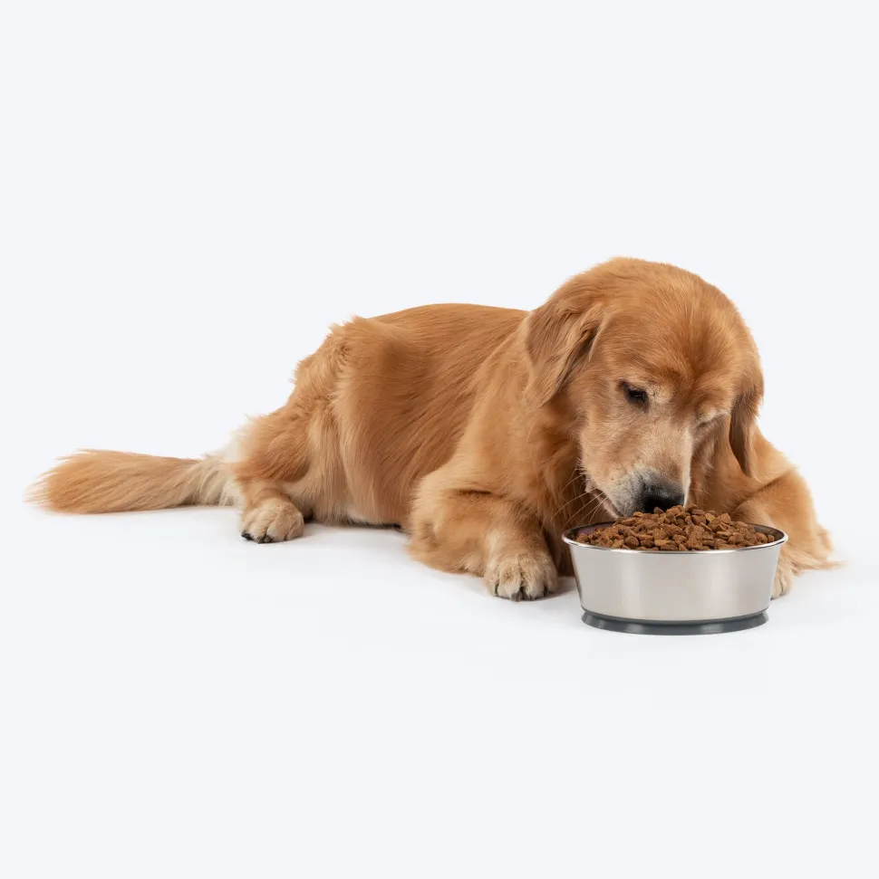 HUFT Suction Bowl For Dog - Grey