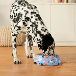 HUFT Summer Bloom Printed Melamine Bowl With Steel Insert For Dog - Blue
