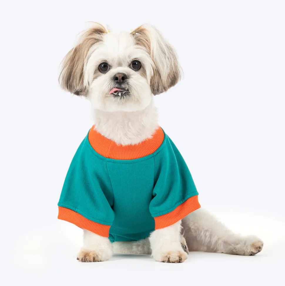 HUFT Sunny Bear Sweatshirt For Small Dog - Green