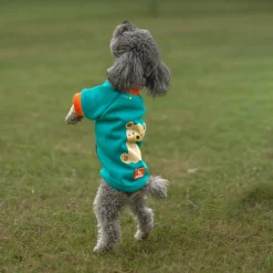 HUFT Sunny Bear Sweatshirt For Small Dog - Green
