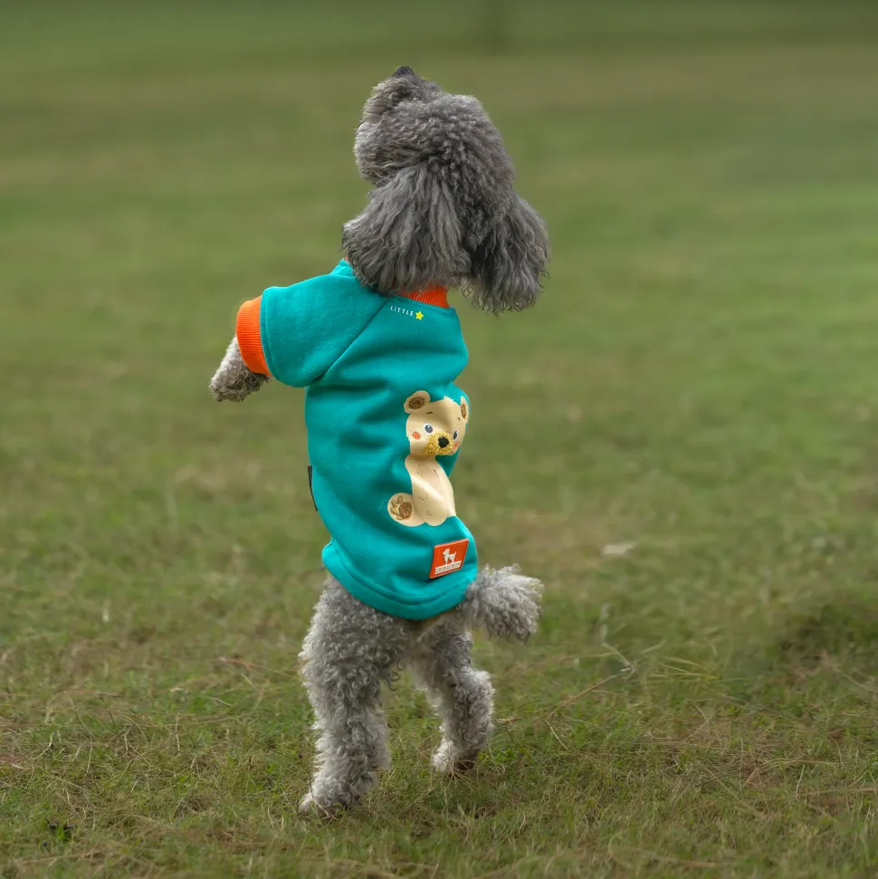 HUFT Sunny Bear Sweatshirt For Small Dog - Green