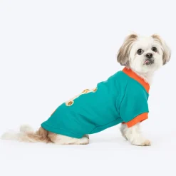 HUFT Sunny Bear Sweatshirt For Small Dog - Green