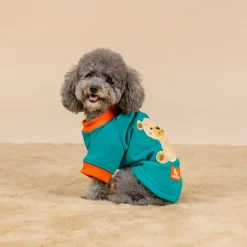 HUFT Sunny Bear Sweatshirt For Small Dog - Green