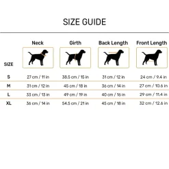 HUFT Sunny Bear Sweatshirt For Small Dog - Green