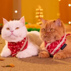 HUFT Super Sitara Scarf For Cat & Puppy - Red