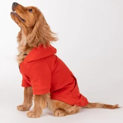 HUFT Sweatshirt for Dogs - Rust