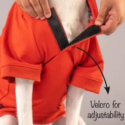 HUFT Sweatshirt for Dogs - Rust