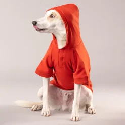 HUFT Sweatshirt for Dogs - Rust