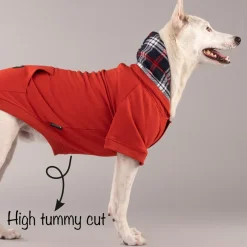 HUFT Sweatshirt for Dogs - Rust
