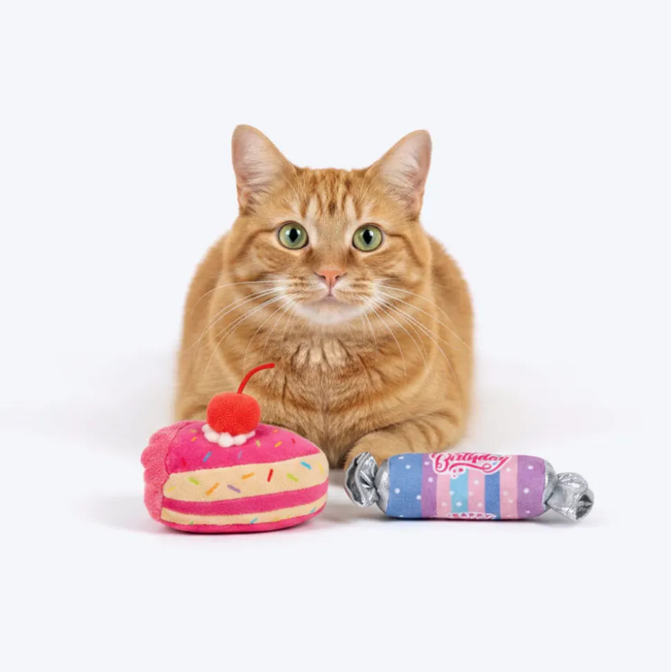 HUFT Sweeties Plush Toys With Catnip For Cat - Multicolor - Set Of 2