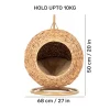 HUFT Swing And Snooze Bed With Cushion For Cat - Brown