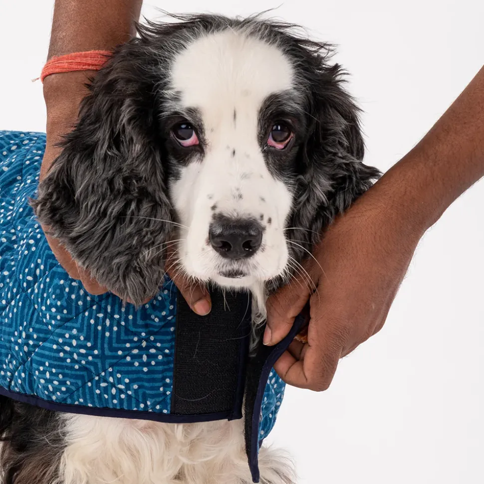 HUFT The Indian Collective Ambar Indigo Dog Jacket